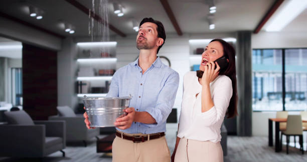 Best Basement Water Damage Restoration in Dahlgren, VA